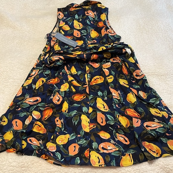 London Times Linen Lemon Printed Sleeveless Full Dress Size 10 NWT - Picture 4 of 7
